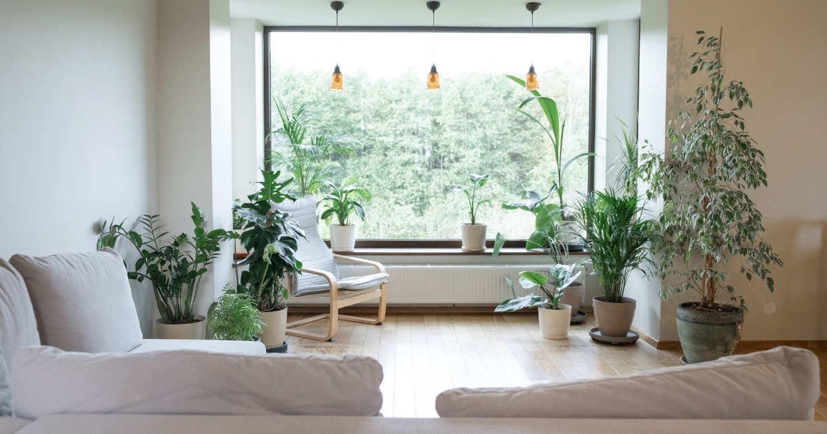 biophilic design harmony of a living room